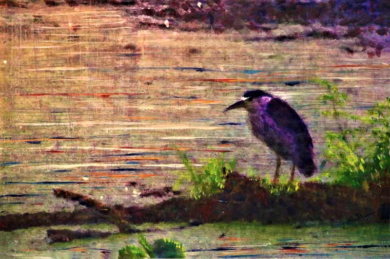 Gamal Rahman painting