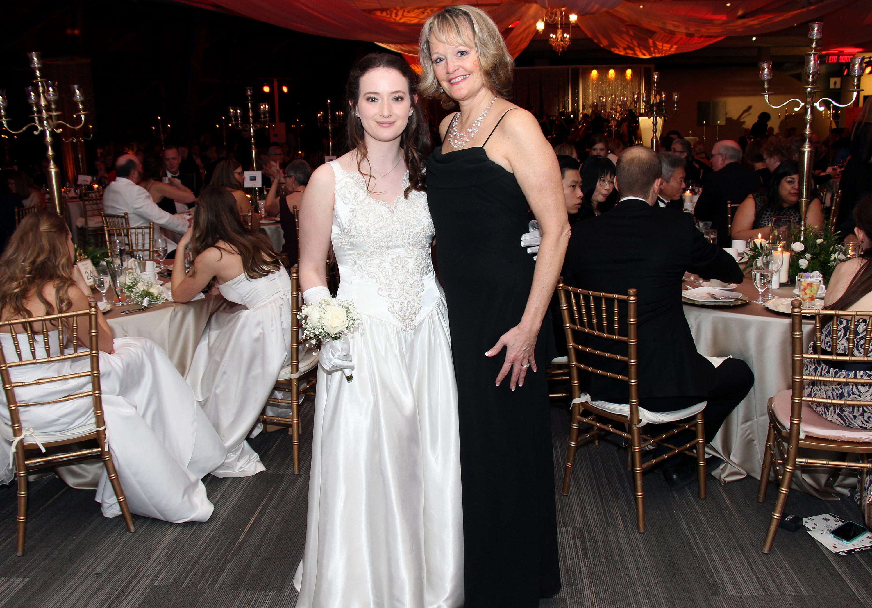 Viennese Winter Ball