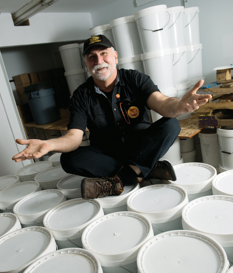 African Bronze Honey