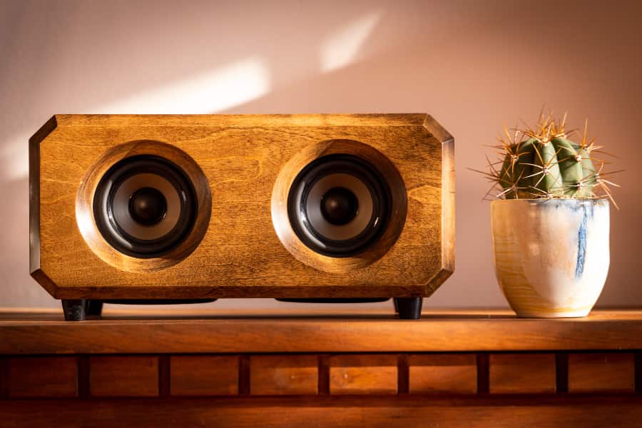 Riverwood speaker